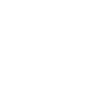 CommCepts